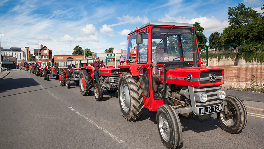 A parade of red Massey Fergussons