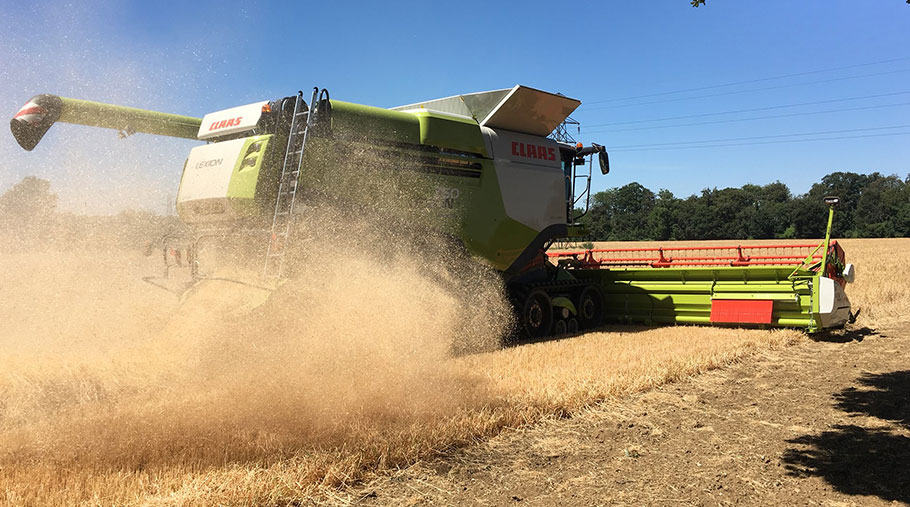 A combine works through barley