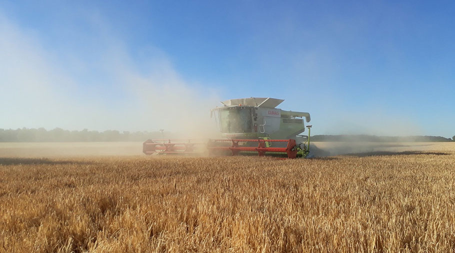 A combine harvester works its way through winter barley