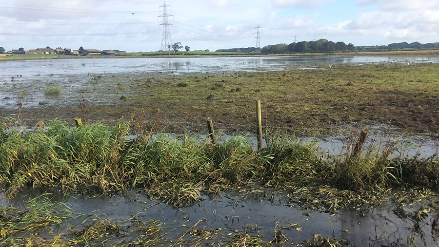 Flooded farmland