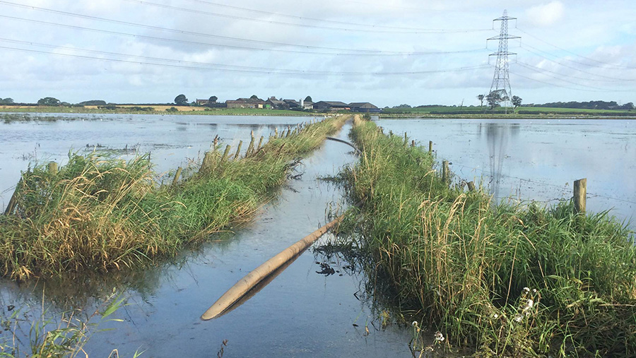 Flooded farmland