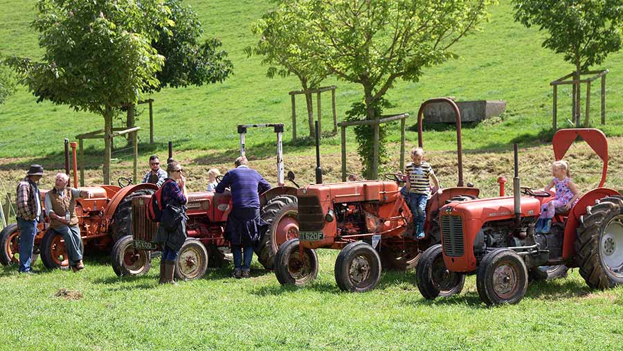 Open Farm Sunday at Gatecombe Farm