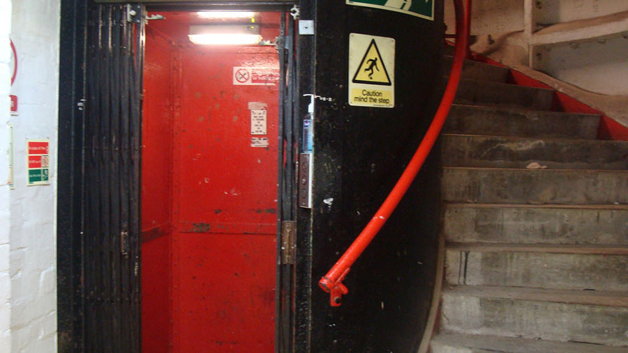 A set of stairs leading down to the underground farm