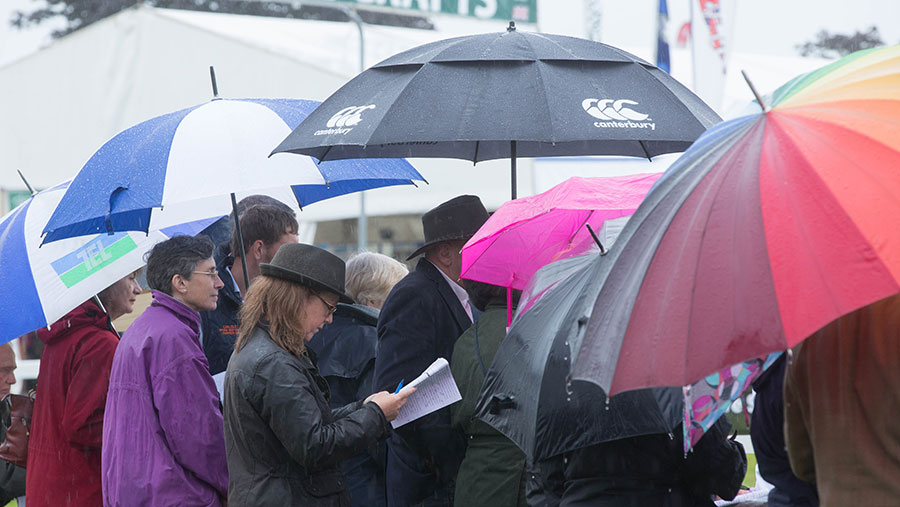 A crowd of people hold umbrellas as rain falls at an agricultural show