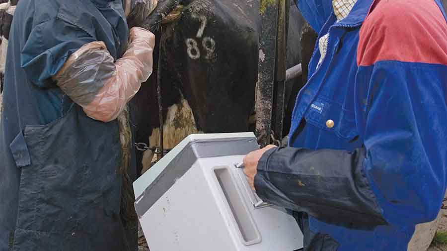 beef scanner