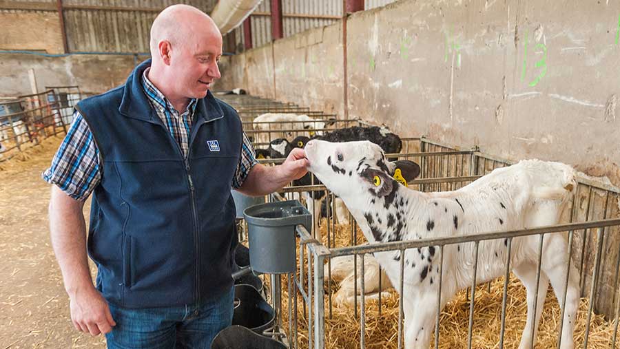 Gary Mitchell stands in a shed with a calf