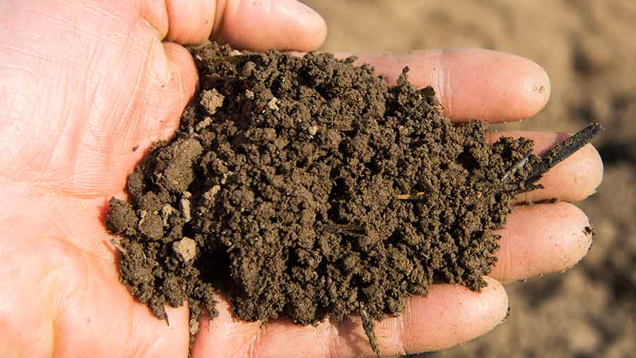 Soil held in farmers hand