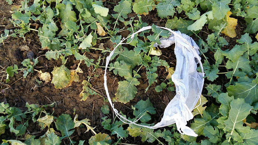 A burnt out sky lantern lies in a field