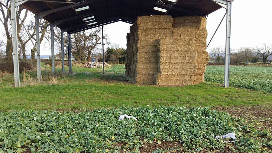 A shed full of straw bales, on the ground in front is the remains of a sky lantern