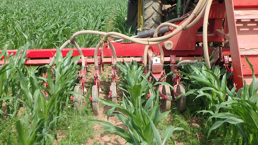 Grass seeding