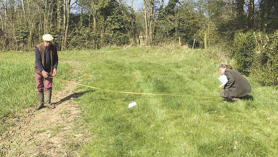 Two people measure buffer strips in a field