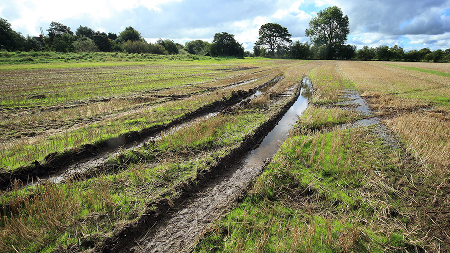 Slurry spreading rules relaxed in Northern Ireland Farmers Weekly