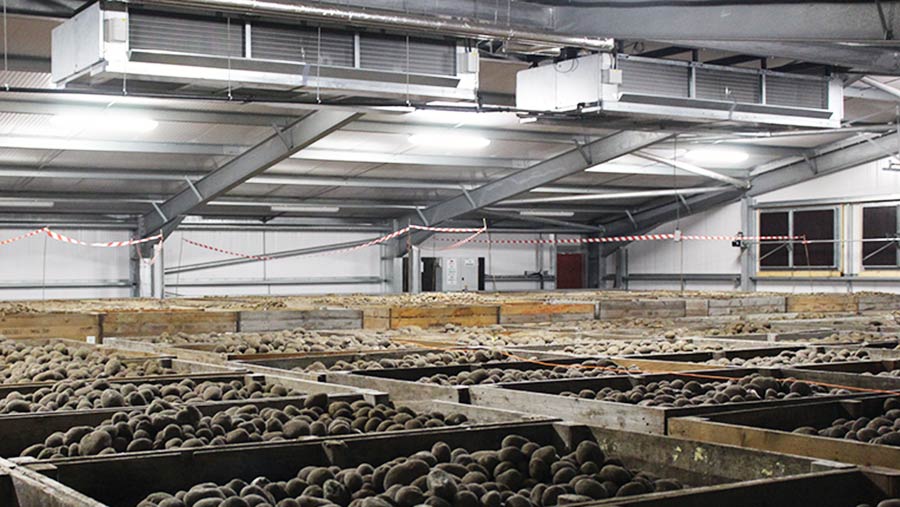 R S Cockerill's new box store holds up to 3,300t of potatoes © Oli Hill