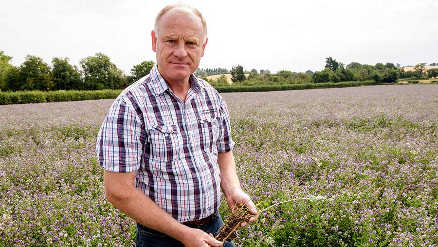 Simon Cowell in a field of lucerne © Jason Bye