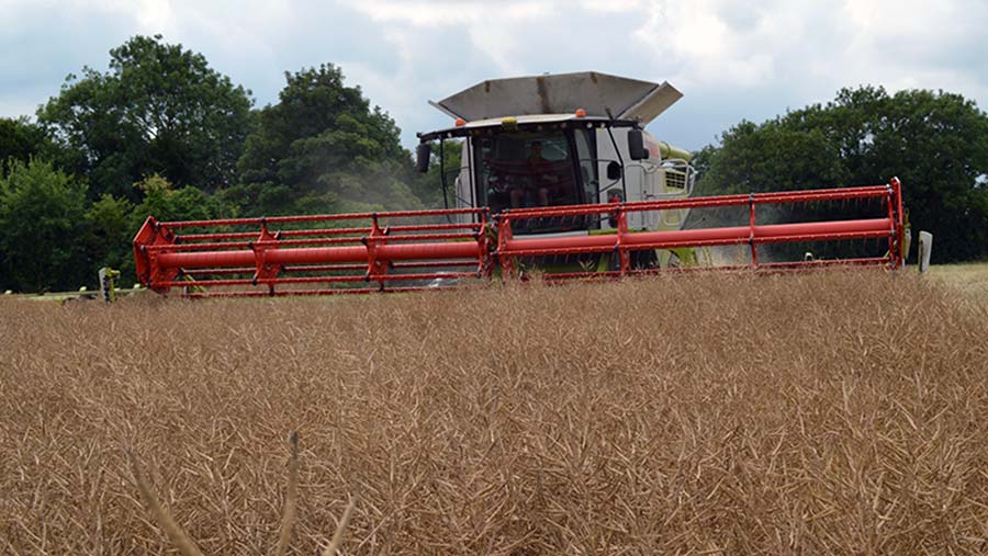 Harvesting oilseed rape in Kent © David Jones/RBI