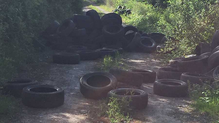 Tyres dumped on a farm