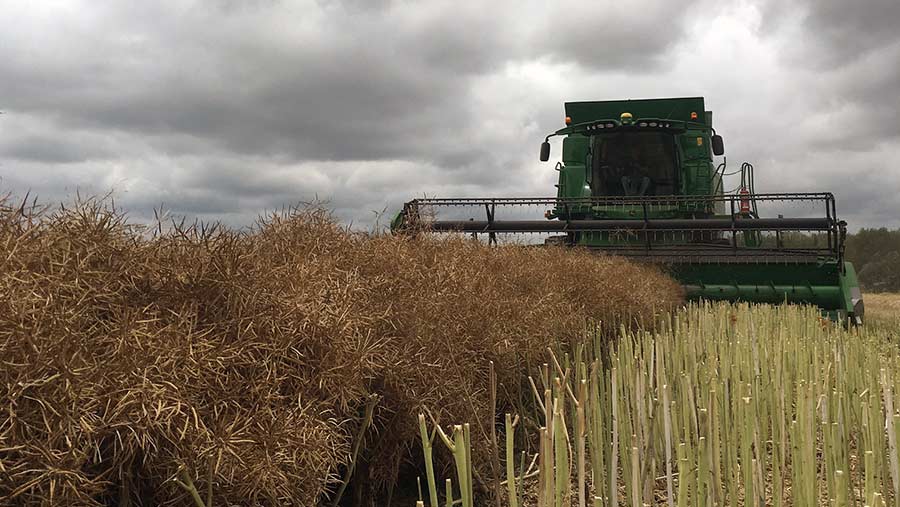 Oilseed rape harvest on Isle of Sheppey © Ryan McCormick