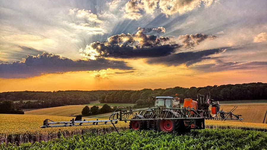 Sunset during spraying maize