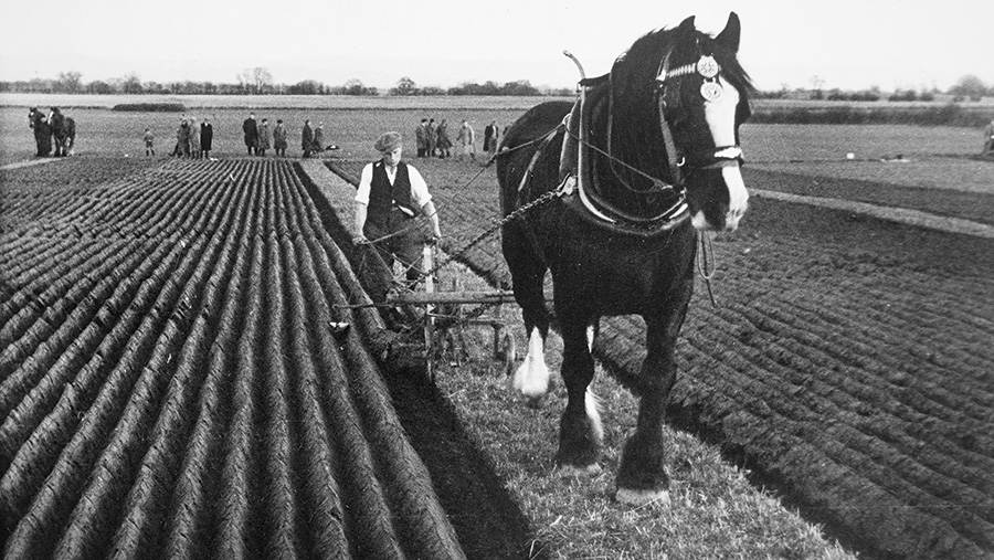 Mr A Revitt of Norton, ploughing at the Yorkshire County Championship 1952