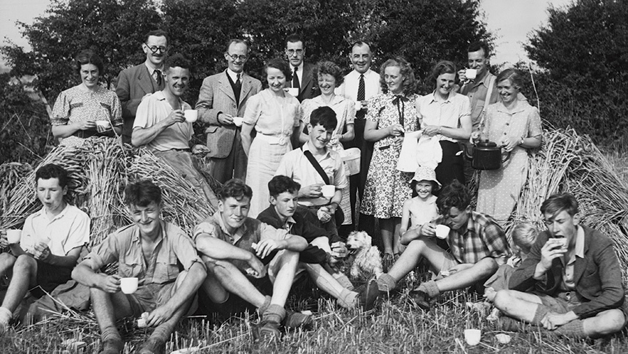 Children and adults sitting in a field eating sandwiches