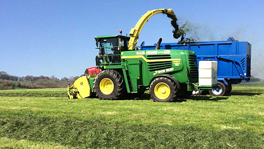 First-cut silage