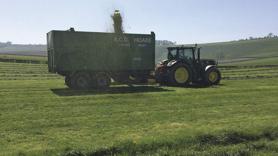 First-cut silage