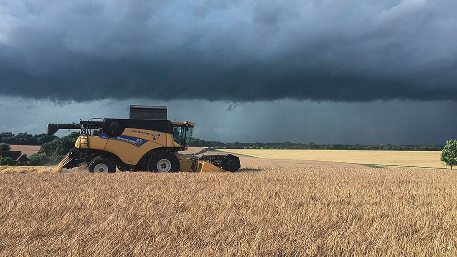 Barley being harvested in Dorset