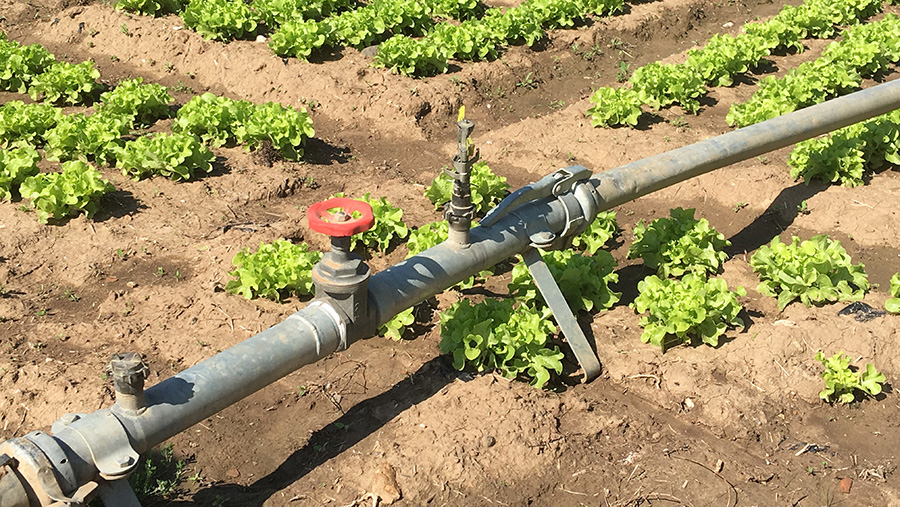 Irrigation equipment in German crops