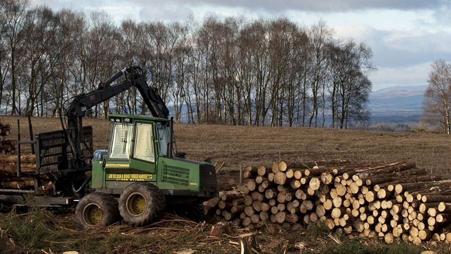 John Deere 1410D Forwarder stacking felled timber from pine plantation, Stirlingshire, Scotland 2012