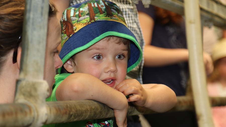 Child looks amazed at Open Farm Sunday event © LEAF Open Farm Sunday