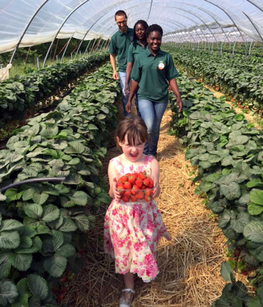 Open Farm Sunday child with strawberries © LEAF Open Farm Sunday