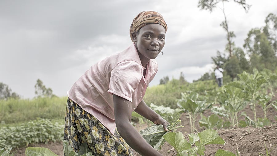 Ruth, a farmer in Africa, works in a field