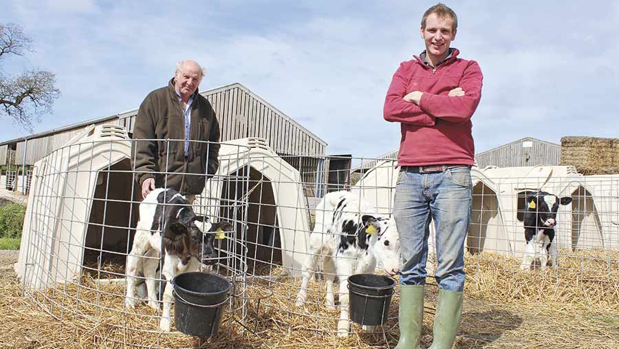 Wakely and Rupert stand outside calf hutches