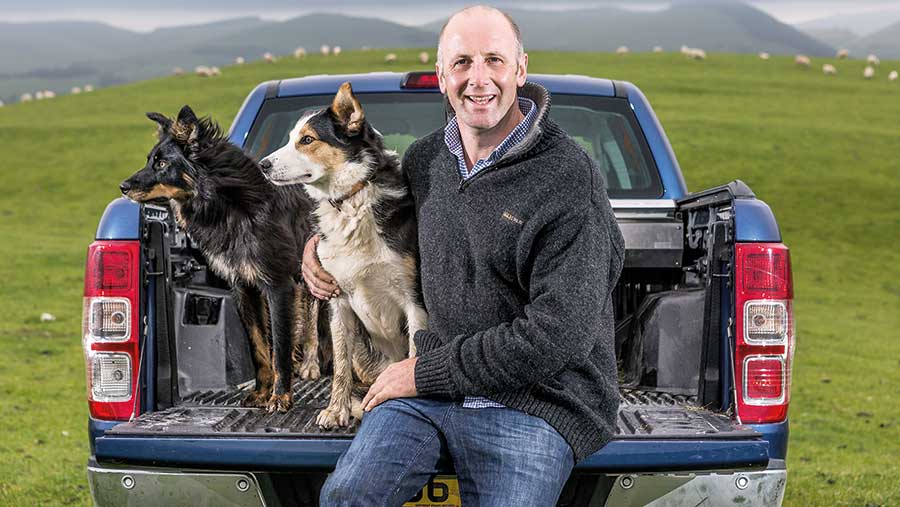 Dafydd Jones sits on the back of a vehicle with two dogs