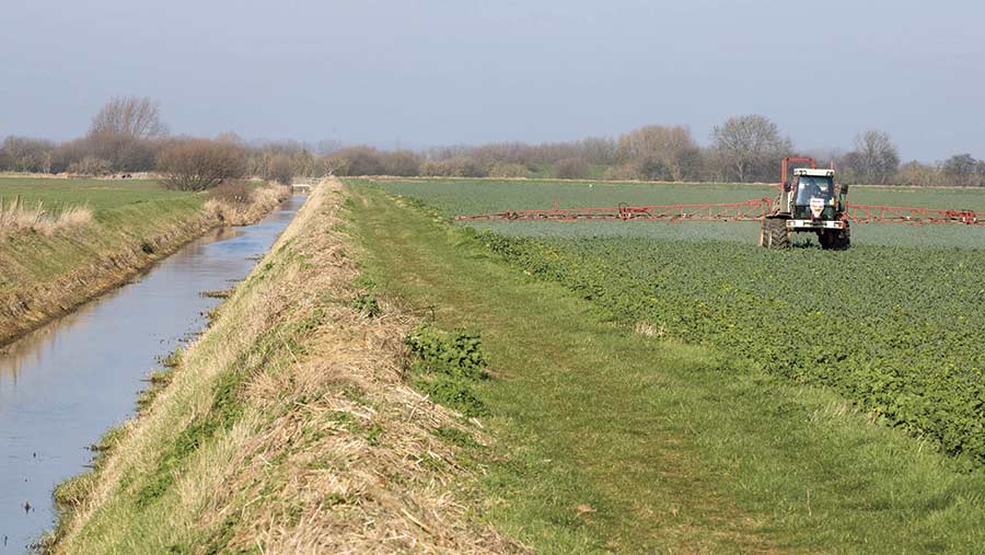 A buffer strip