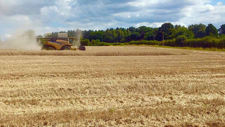 A harvester works in a field of rye