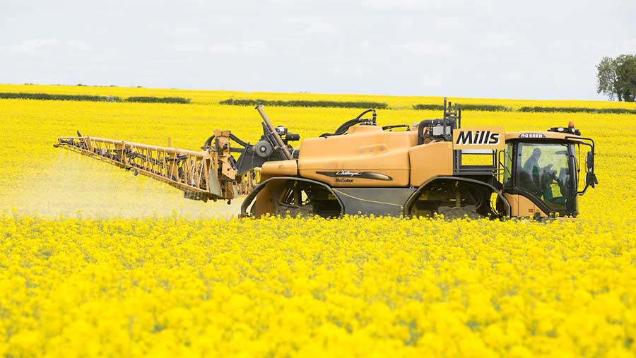 OSR and foliar nitrogen flowering