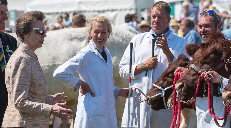 Princess Anne inspects cows at the Great Yorkshire Show
