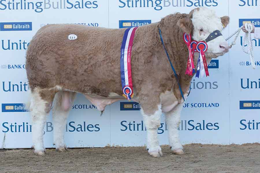 Sale leader Corskie Gingersnap from Iain Green sold to Vikki and Jimmy Wood, Preston