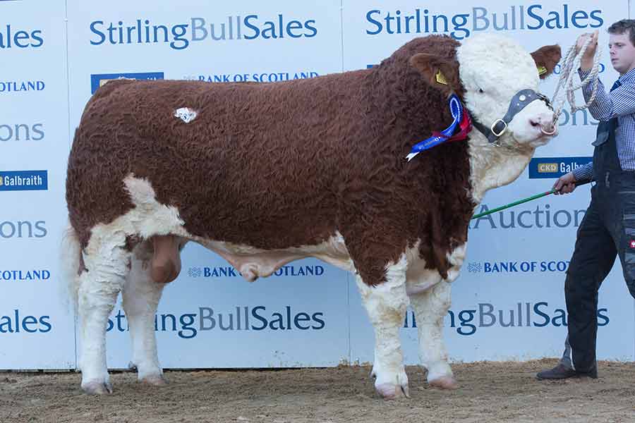 Islavale Galahad from WS Stronach sold to AD Sutherland