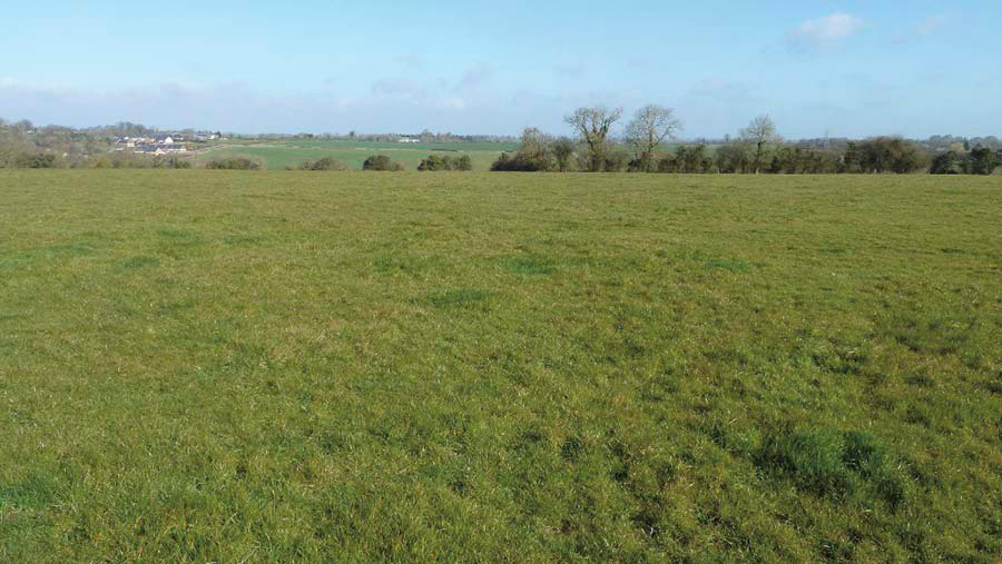 Bisbrooke grassland