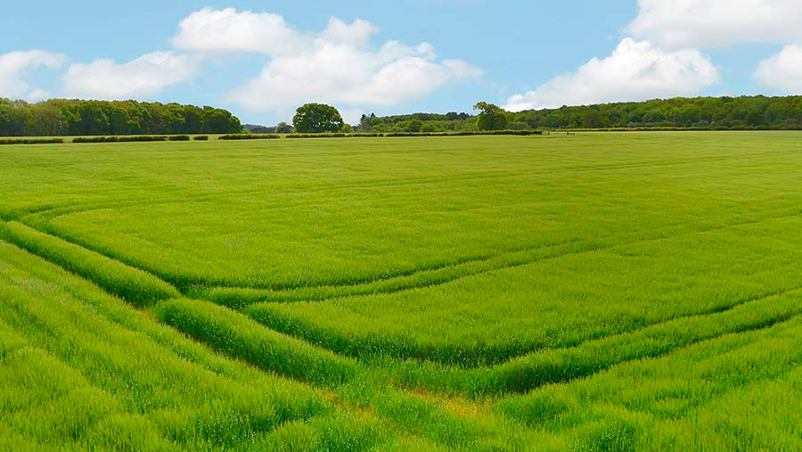 J H Walter School Farm