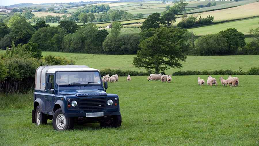 Land Rover in a pasture with sheep