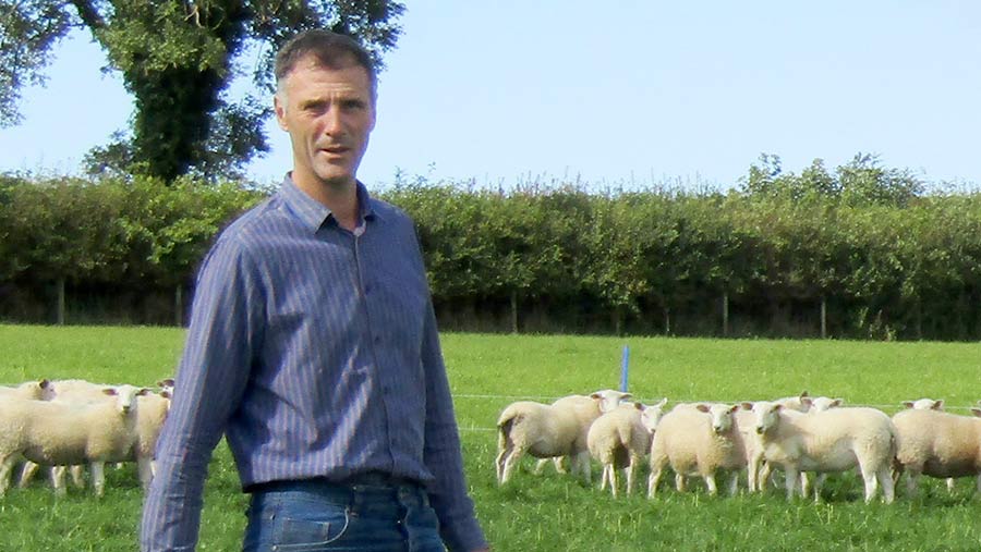 Rhun Fychan in a field with sheep