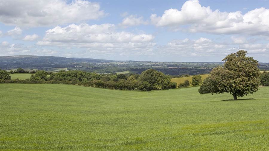 Hilltop in Rochford