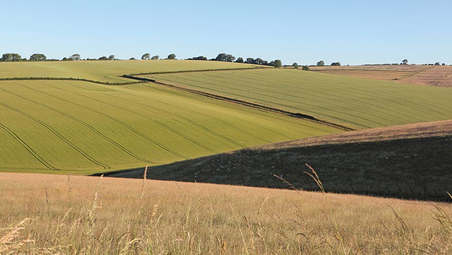 Watcombe Farm, Dorset