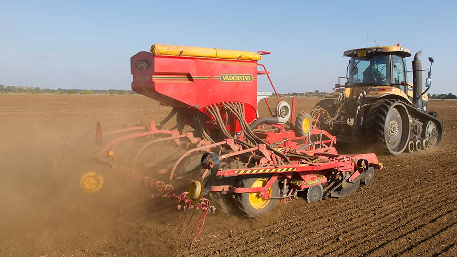 drilling wheat