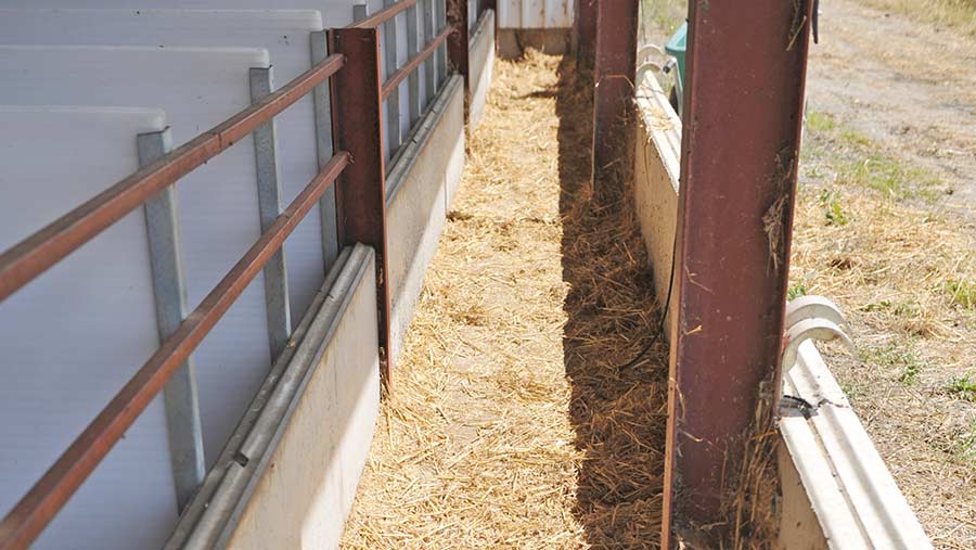 An ventilation passage in a livestock shed