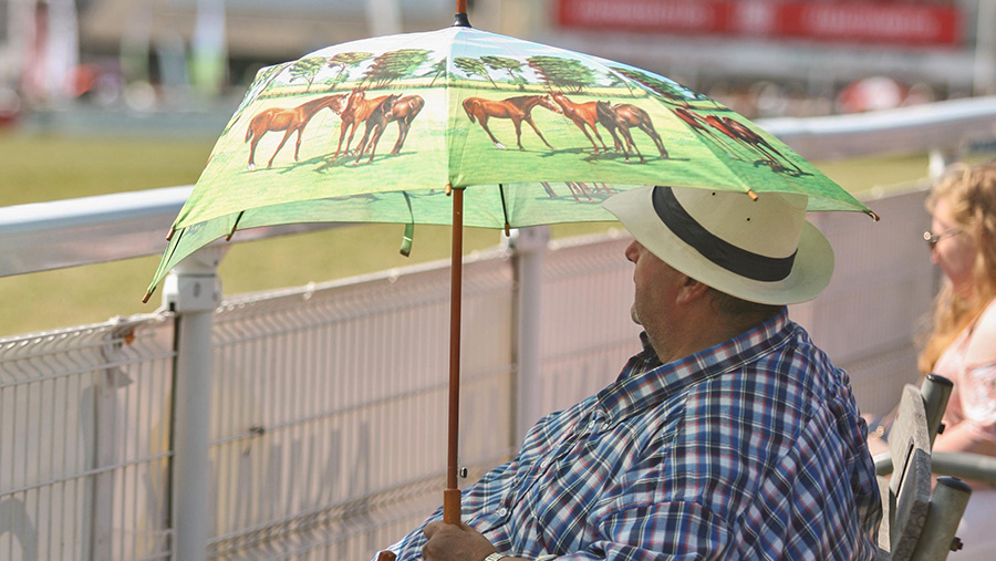 Royal Welsh Show visitor uses brolly