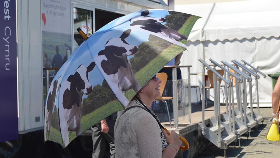 Royal Welsh visitor uses umbrella to block the sun